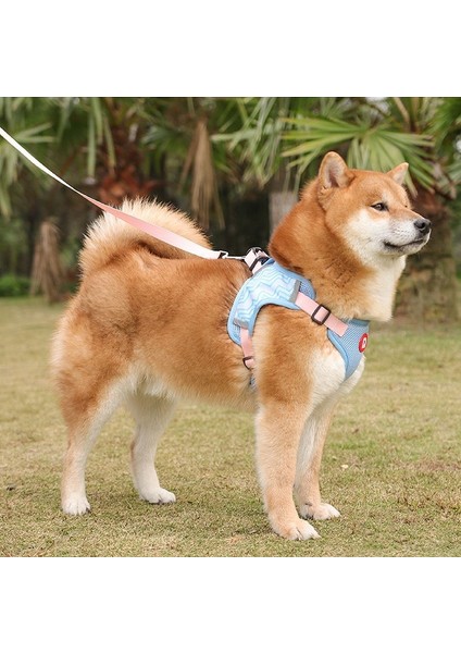 Pet Köpek Orta Boy Köpek Göğüs Kemeri Nefes Alabilir - Mavi (Yurt Dışından) modelleri