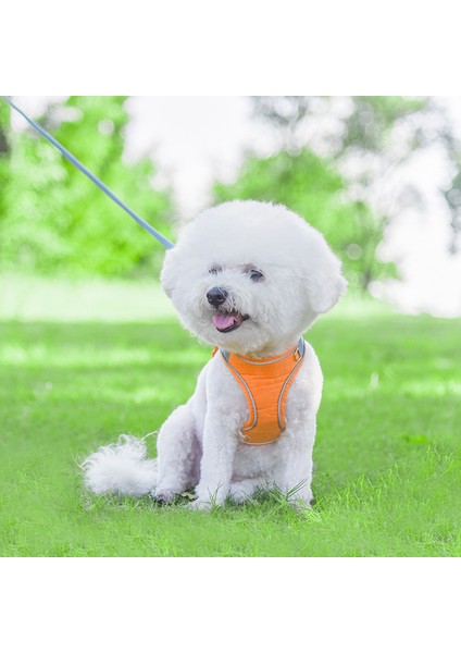 Yansıtıcılı Köpek Göğüs Tasması - Mavi / Turuncu (Yurt Dışından) modelleri