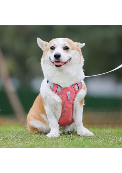 Yansıtıcılı Köpek Göğüs Tasması - Koyu Pembe (Yurt Dışından)