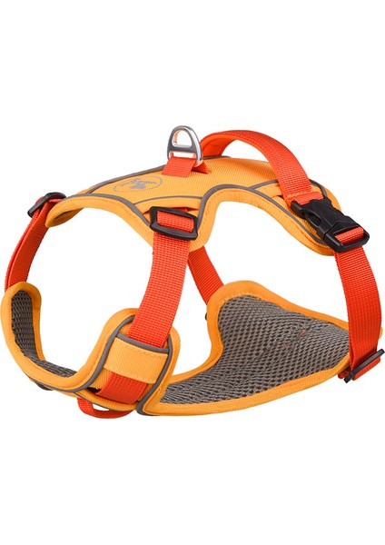 Yansıtıcılı Köpek Göğüs Tasması - Altın (Yurt Dışından)