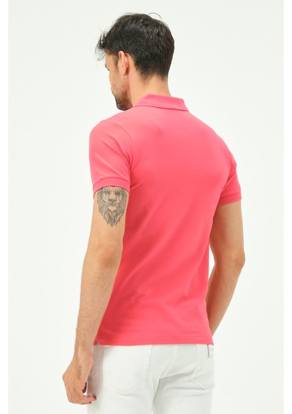 Erkek Kısa Kollu Regular Fit Polo Yaka T-Shirt