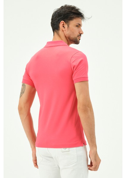 Erkek Kısa Kollu Regular Fit Polo Yaka T-Shirt