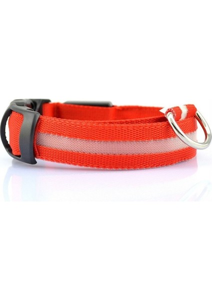 Köpek Tasması Pet Işıklı Yaka Usb Şarj Edilebilir Tel Örgü Işıklı Yaka Köpek Işıklı Yaka Led Işıklı Yaka (Yurt Dışından)