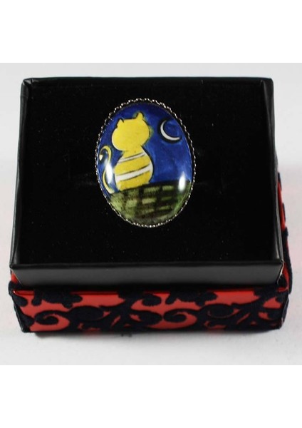 Aya Bakan Yalnız Kedi