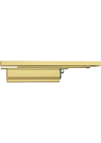 Dcl 33 (F) Gizli Kapı Kapatıcı - Pirinç Parlak Renkli - Sabitlemesiz
