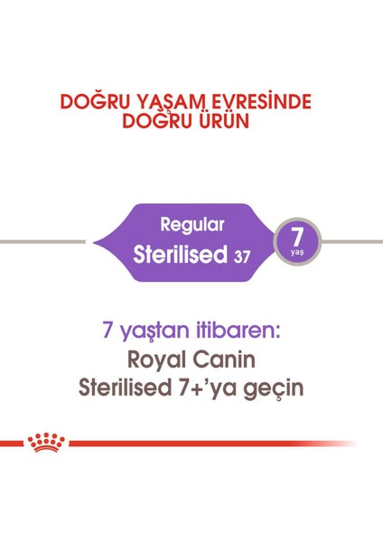 Sterilised Kedi Maması - 4 kg modelleri