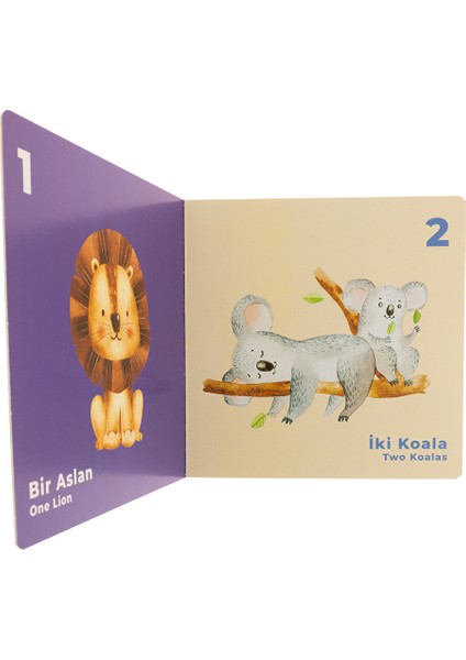 Baby Toys Benim Ilk Kitaplarım - Sayılar