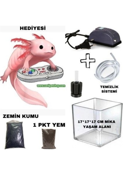 Axolotl Dekor (Yaşam Alanı+Filtre Sistemi+Kum+Yem+Hediye Axolotl) Komple Set