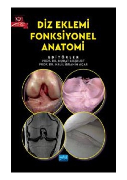 Diz Eklemi Fonksiyonel Anatomi