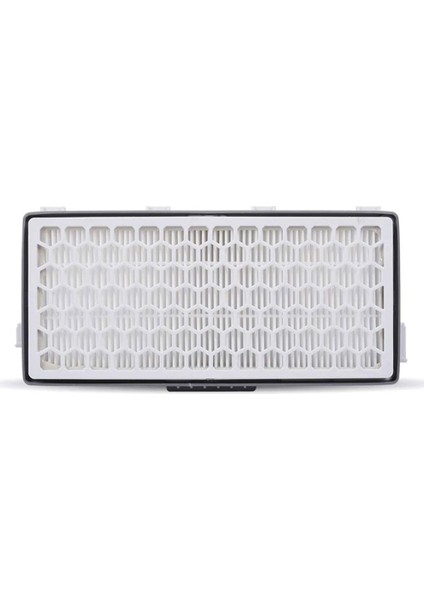 Miele Uyumlu Complete C3 Cat & Dog PowerLine SGEF3 Süpürge Hepa Filtre (2)
