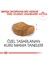 British Shorthair Adult Yetişkin Kedi Maması 4 kg 2