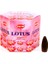 Lotus Back Flow Cones 1