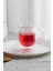 Çift Katlı Isı Yalıtımlı Cam Kulplu Bardak 4 Adet 250 ml 2