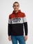 Regular Fit Erkek Sweatshirt 2
