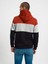 Regular Fit Erkek Sweatshirt 3