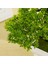Ofis/Pencere Pervazına/Bahçeye Yönelik Breeze Bonsai Yapay Çam Bitkisi (Yurt Dışından) 2