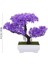 Esinti Yapay Bonsai Ağacı Yapay Bitki Dekorasyon Saksı Bitki Ev (Yurt Dışından) 2
