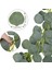 5'Li Paket Yapay Okaliptüs Garland Okaliptüs Vines Yapay Gümüş Bebek (Yurt Dışından) 2