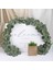 5'Li Paket Yapay Okaliptüs Garland Okaliptüs Vines Yapay Gümüş Bebek (Yurt Dışından) 3