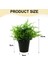 Esinti Parçası Sahte Çiçek Çim Topu Saksıda Yaratıcı Küçük Süsler Bonsai K (Yurt Dışından) 2