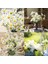 10 Adet Yapay Çiçekler Ipek Papatya Yapay Gerbera Papatya (Yurt Dışından) 2