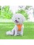 Yansıtıcılı Köpek Göğüs Tasması - Mavi / Turuncu (Yurt Dışından) 3