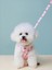 Sırt Çantalı Köpek Göğüs Tasması - Pembe (Yurt Dışından) 3