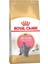 British Shorthair Kitten Kedi Kuru Maması 2kg 1