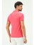 Erkek Kısa Kollu Regular Fit Polo Yaka T-Shirt 5