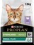 Proplan Sterilised Hindili Renal Kedi Maması 1.5 kg 1
