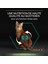 Proplan Sterilised Hindili Renal Kedi Maması 1.5 kg 3