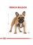 French Bulldog Yetişkin Köpek Maması - 3 kg 4
