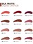 Silk Matte Yüksek Pigmentli & Mat Bitişli Nemlendirici Likit Ruj 5