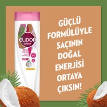 Elidor Doğanın Enerjisi Saç Bakım Şampuanı Hindistan Cevizi Yağı Onarıcı & Yıpranma Karşıtı 400 ml X3