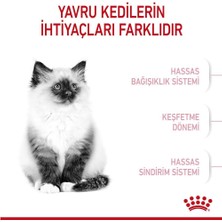 Royal Canin Kitten Yavru Kedi Mamasi 4 kg