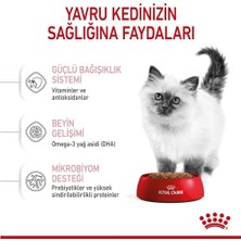 Royal Canin Kitten Yavru Kedi Mamasi 4 kg