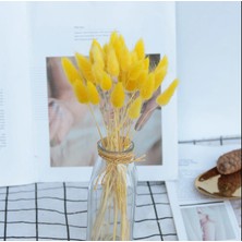Hidden Botanics Kuru Çiçek Pamuk Otu (Yerli) Sarı Lagurus  40 Dal​