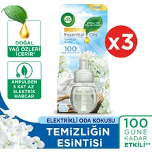 Air Wick Elektrikli Oda Kokusu Yedek Temizliğin Esintisi x 3