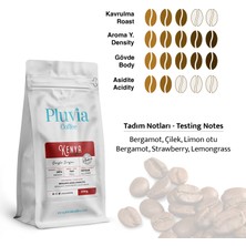 Pluvia Coffee Kenya Filtre Kahve 200 gr (Çekirdek)