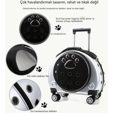 Chinese Manufacturer Küçük Evcil Hayvan Arabası Kutusu, Taşınabilir Köpek Gezi Çantası, Şeffaf Evcil Hayvan Kutusu, Sırt Çantası, Kedi Çantası, Uzay Kapsülü (Yurt Dışından)