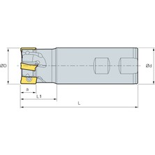 Mertsan Standart Saplı Tarama Freze Kafası D018-2, 18X90 mm Takım Ölçüsü, (2 Adet Apkt 1003 Kesici Uç Kullanır) - 1 Adet