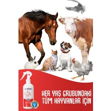 Yara ve Deri Bakım Spreyi 2x300ml Kedi Mantar Tahriş Köpek Bulaşı Sprey