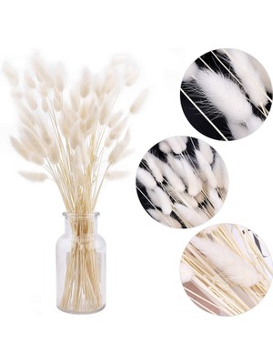 Hidden Botanics Beyaz Şoklanmış Kuru Çiçek Pamuk Otu Lagurus 35 Dal