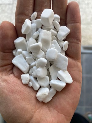 Ard Peyzaj 1 kg Beyaz Dolomit Taş 0.5-1 cm Akvaryum Taşı Çakıl Taşı Bahçe Saksı Taşı Sukulent No 1