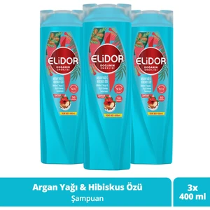 Doğanın Enerjisi Saç Bakım Şampuanı Argan Yağı & Hibiskus Özü Dökülme Karşıtı & Güçlü Uzamayı Destekleyici 400 ml x3