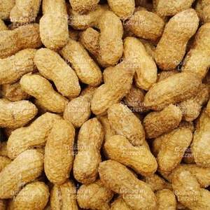 Gökbay Kuruyemiş Kabuklu Yer Fıstığı Kavrulmuş Tuzlu 1 kg