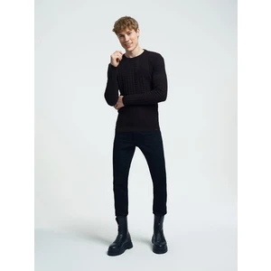 Regular Fit Erkek Kazak
