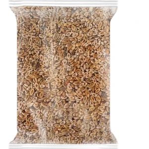 Zencefil Organik Karnıyarık Tohumu Psyllium Glutensiz Gıda Karnı Yarık Tohumu