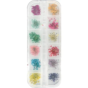 Tırnak Süsleme Kurutulmuş Gerçek Çiçek Nail Art Süsleme 3d Çiçek Model