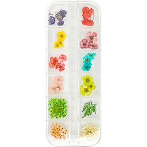 Tırnak Süsleme Kurutulmuş Gerçek Çiçek Nail Art Süsleme 3d Çiçek Model